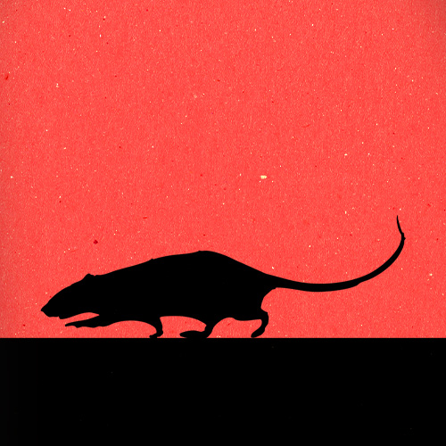 thestranglers-rock-lyon-site-carre